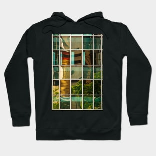 Reflecting Charlotte 2 Hoodie